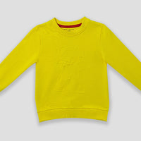 Boys Sweatshirt