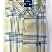 Men Check Shirt
