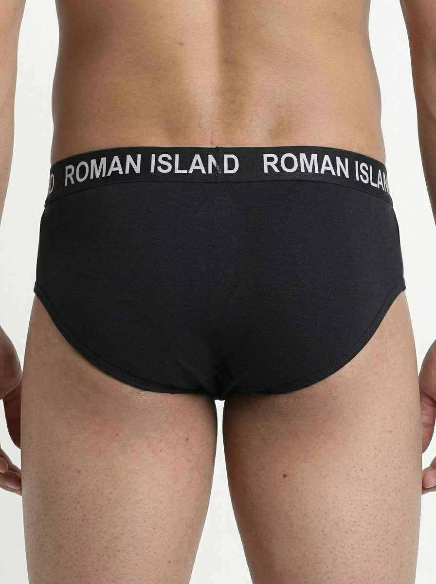 Brief (R003)