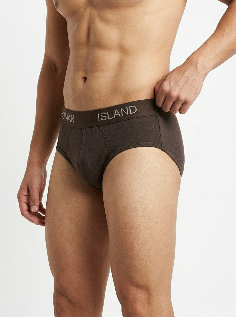 Brief (R004)