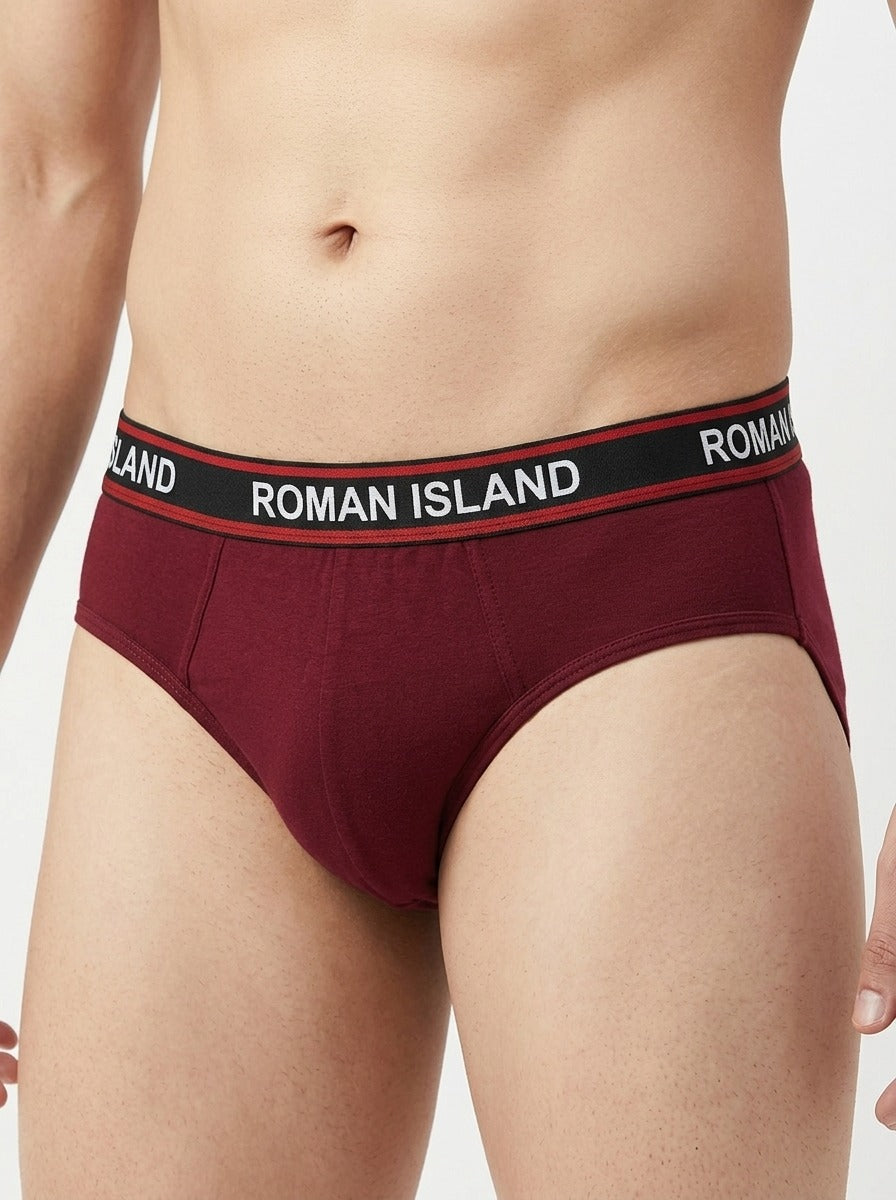 Brief (R001)