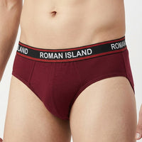 Brief (R001)