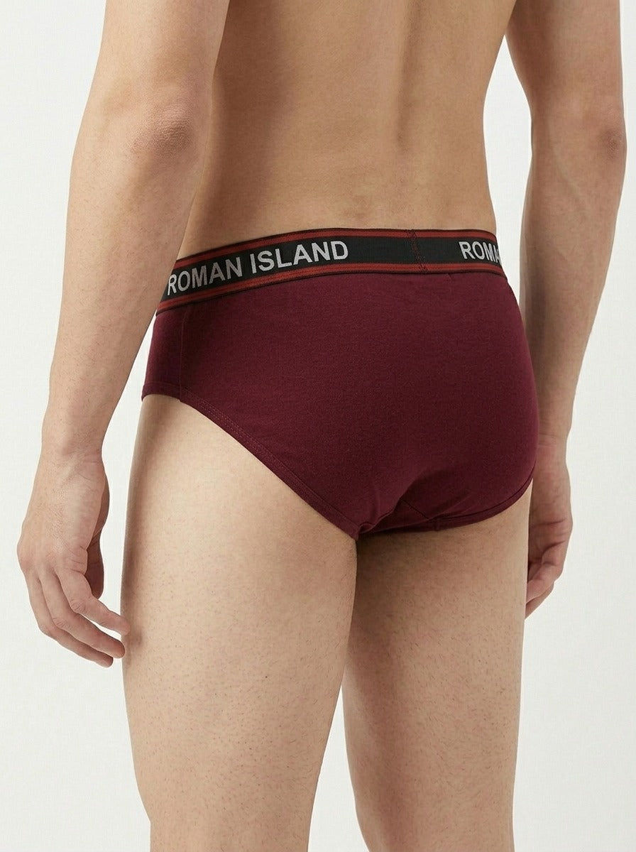 Brief (R001)