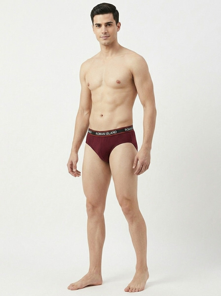 Brief (R001)