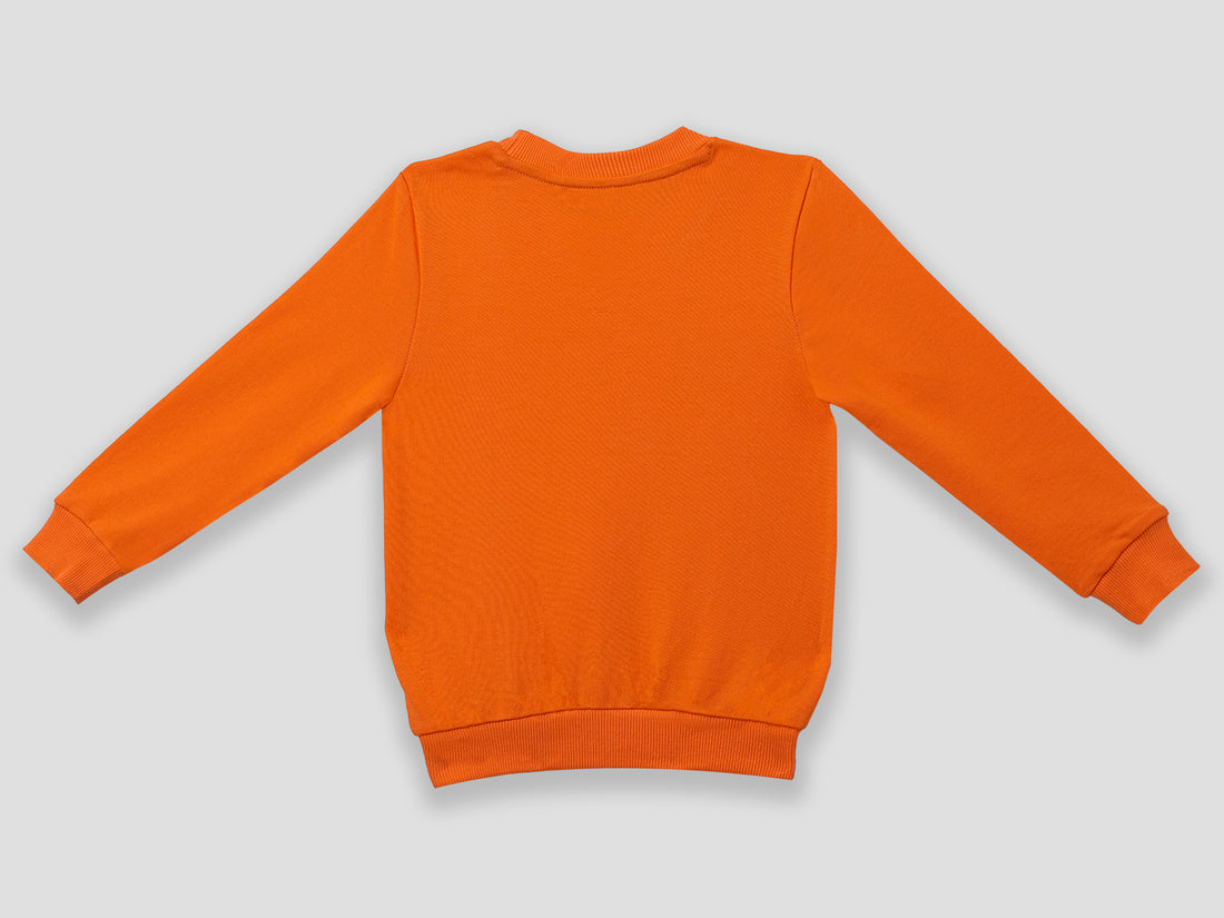 Boys Sweatshirt