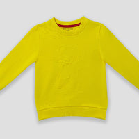Boys Sweatshirt