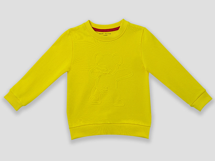 Boys Sweatshirt
